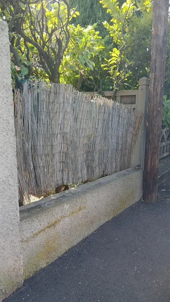 Canisse en roseau posée comme brise-vue