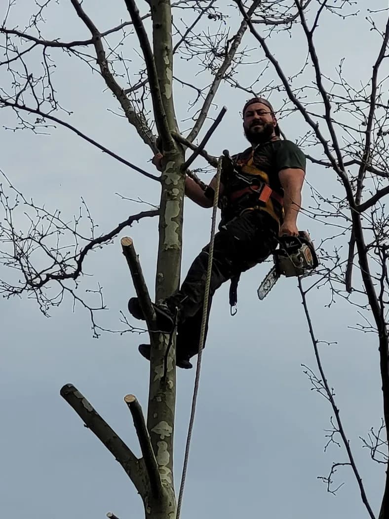 Yannick Mousseau dans un arbre, harnais et corde