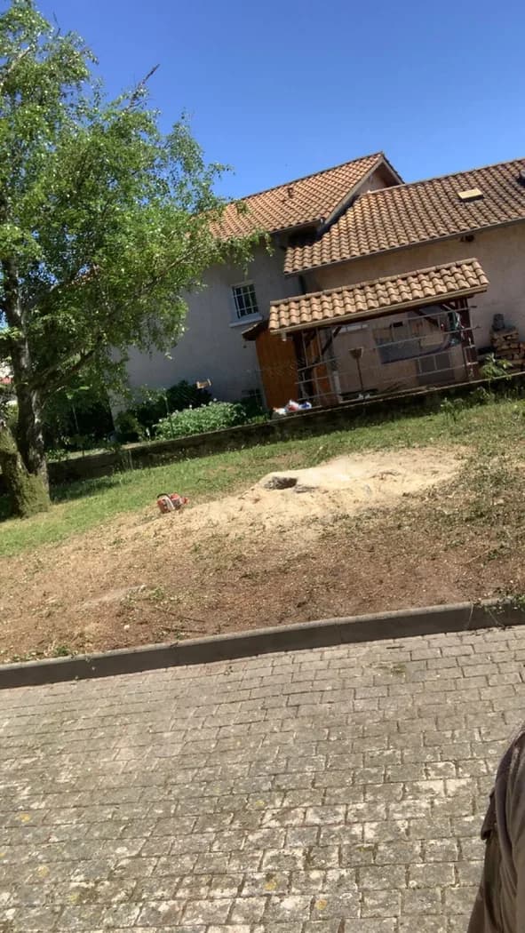 Emplacement propre après enlèvement de la souche