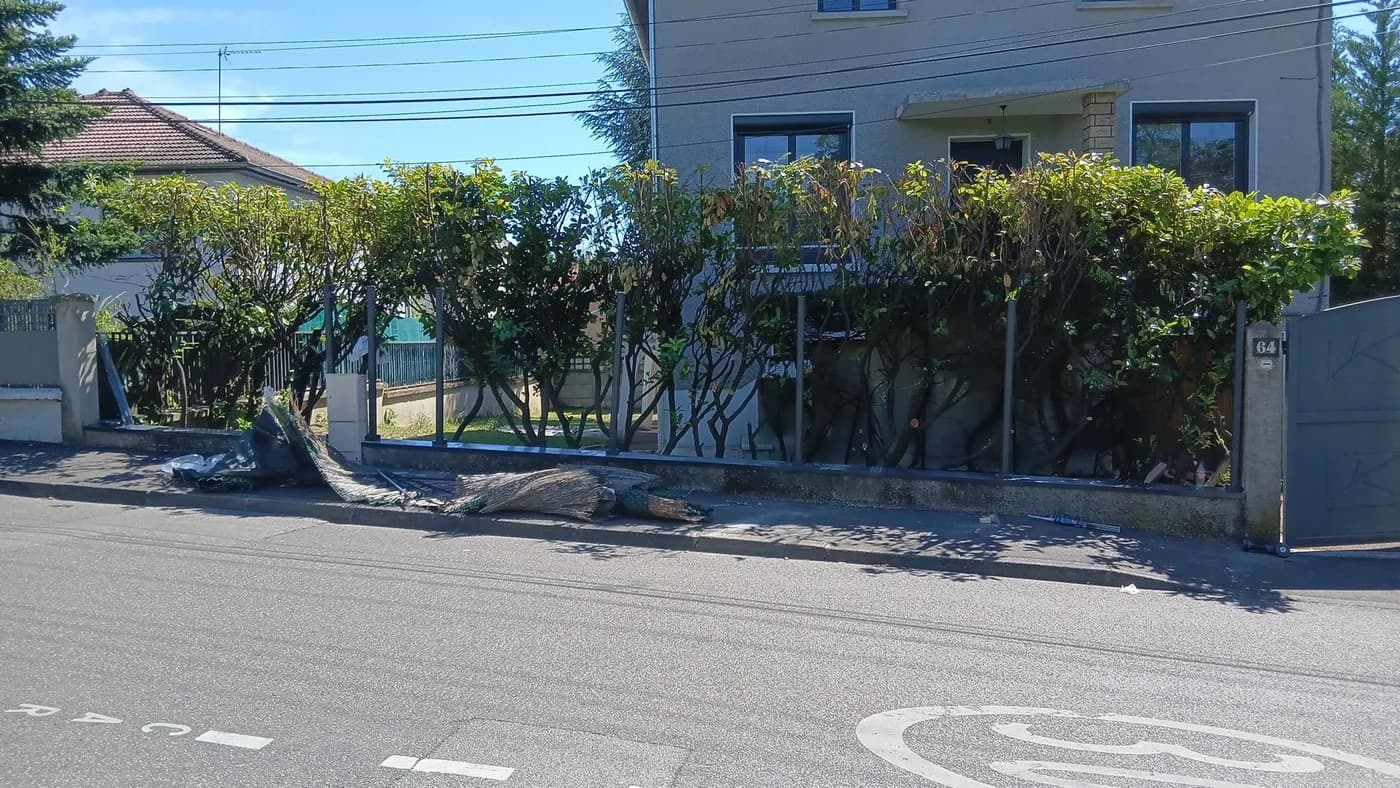Haie taillée en bordure de rue au-dessus d’une clôture